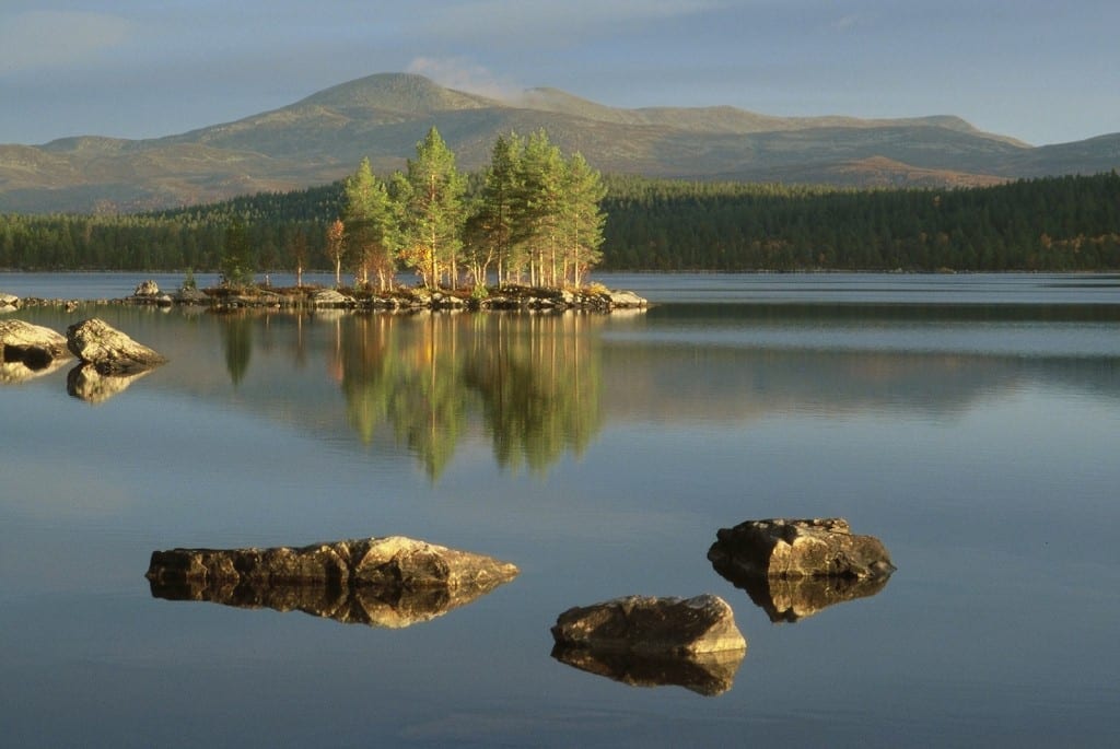 Innsjøen Femunden med fjell i bakgrunnen