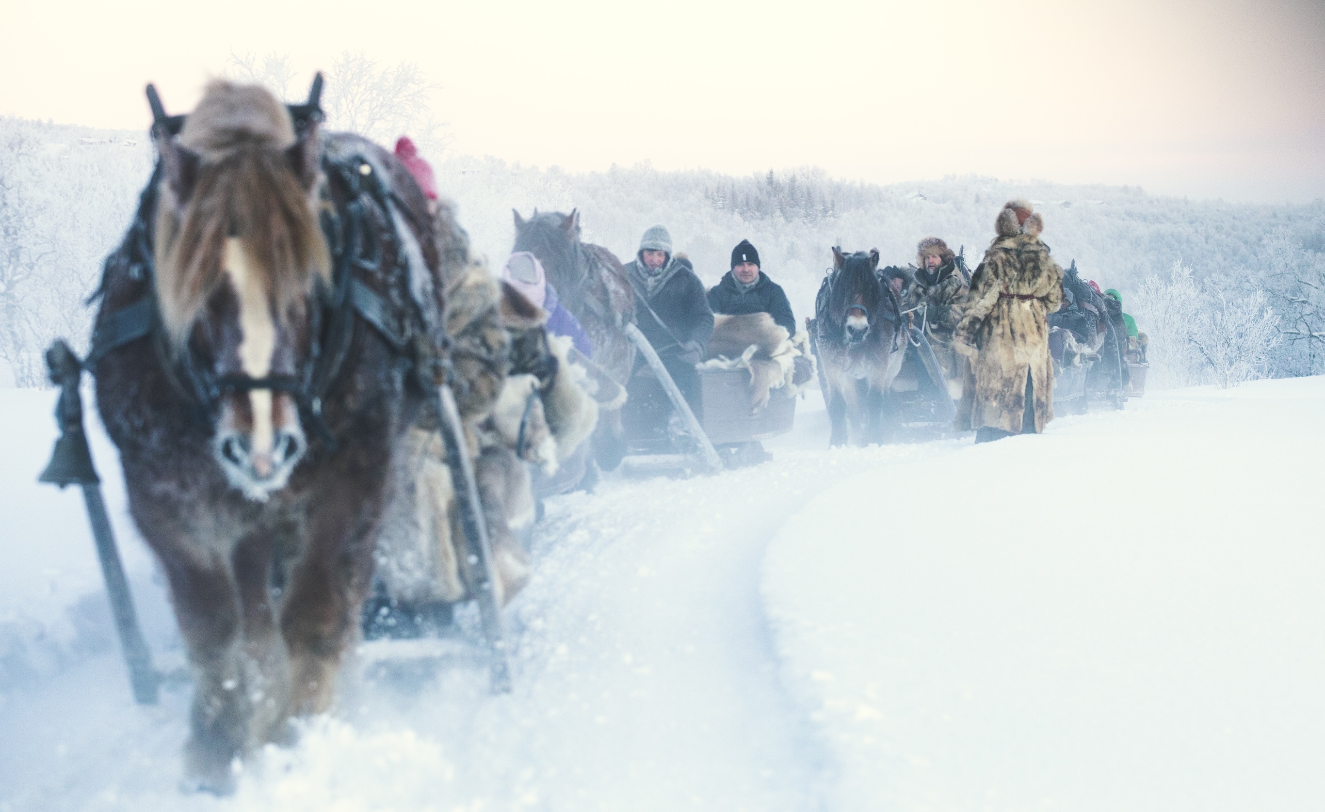 Klart for nye vinterturer med hest og slede til Røros - Visit Røros og ...