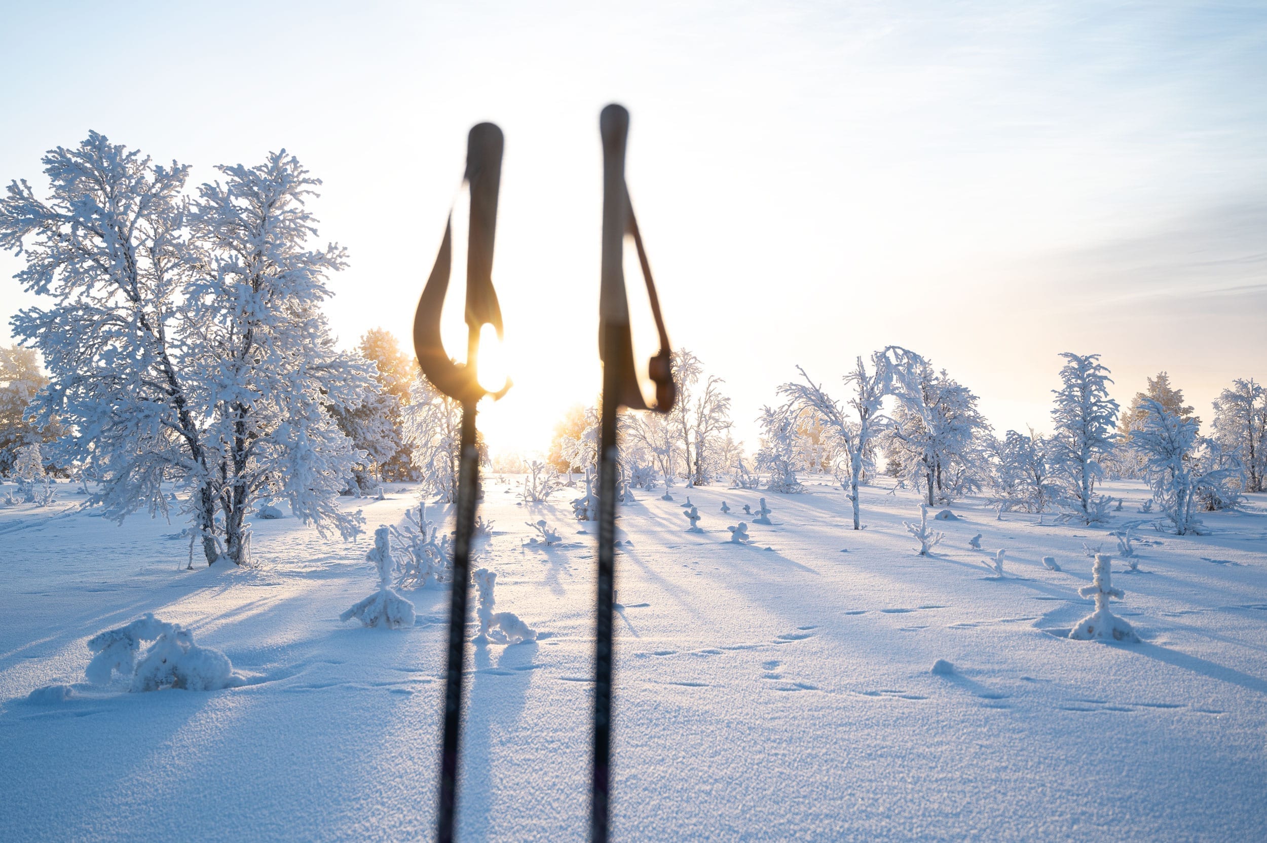 Skitur på Røros. Kaldt vinterlandskap og sol. Skistaver i forgrunnen og trær med frost og rim i bakgrunnen.