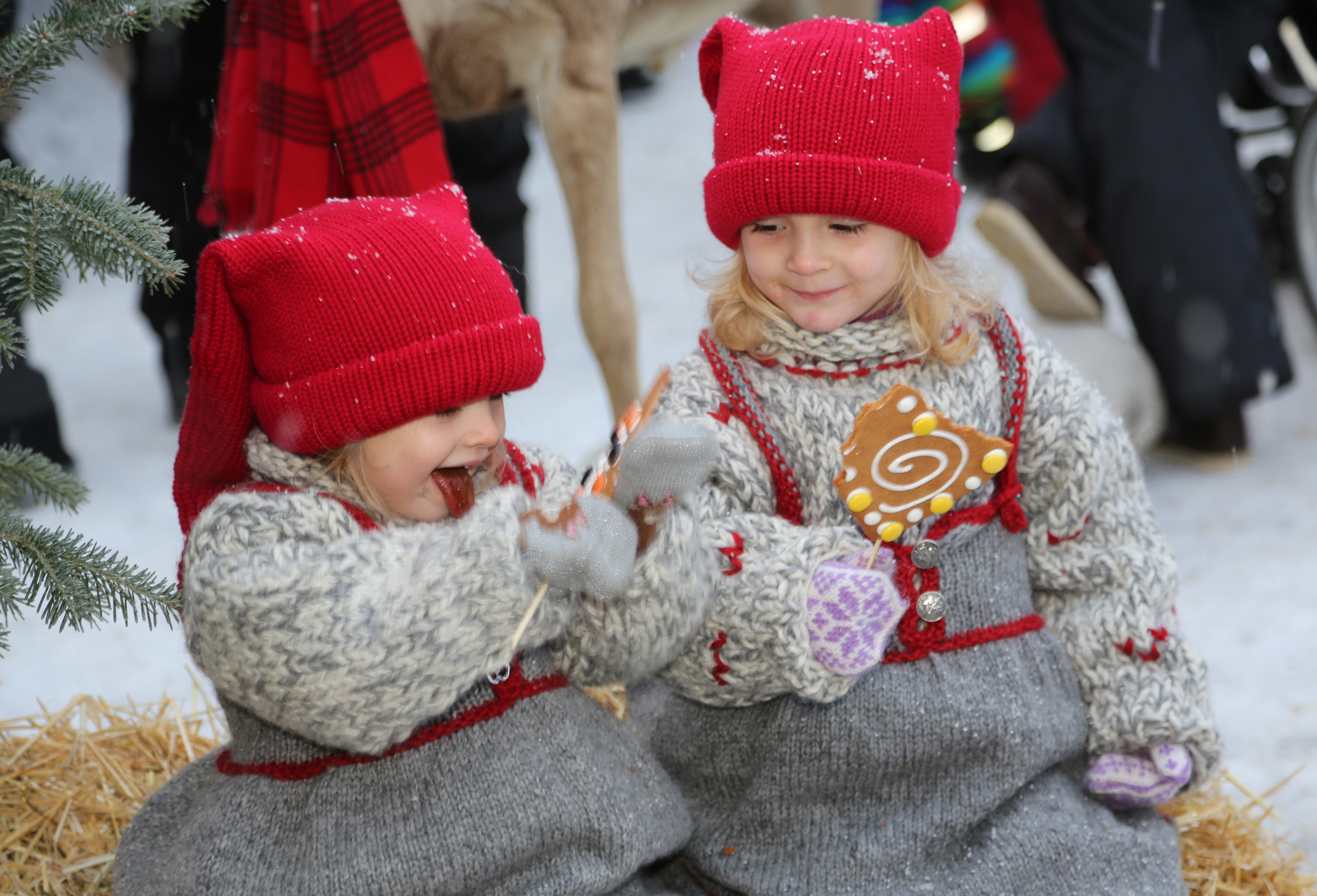 Små barn koser seg med pepperkake-kjærlighet på Julemarked Røros