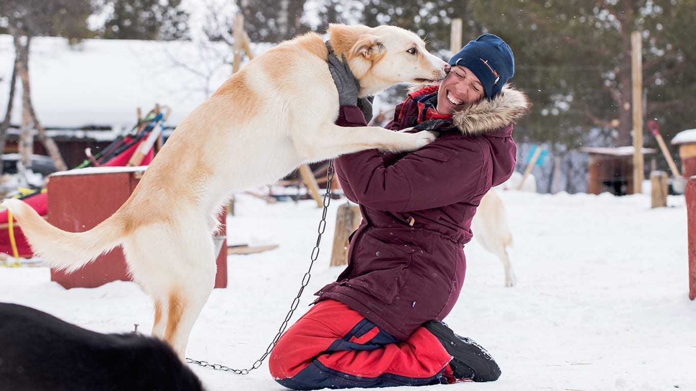 Hundekjøring på Røros. Kirsten Kellogg og hund.